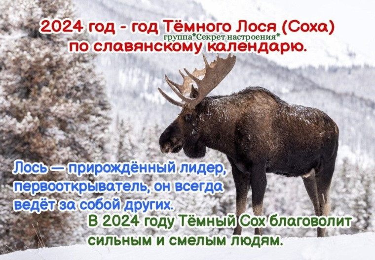 С новым годом!!!.